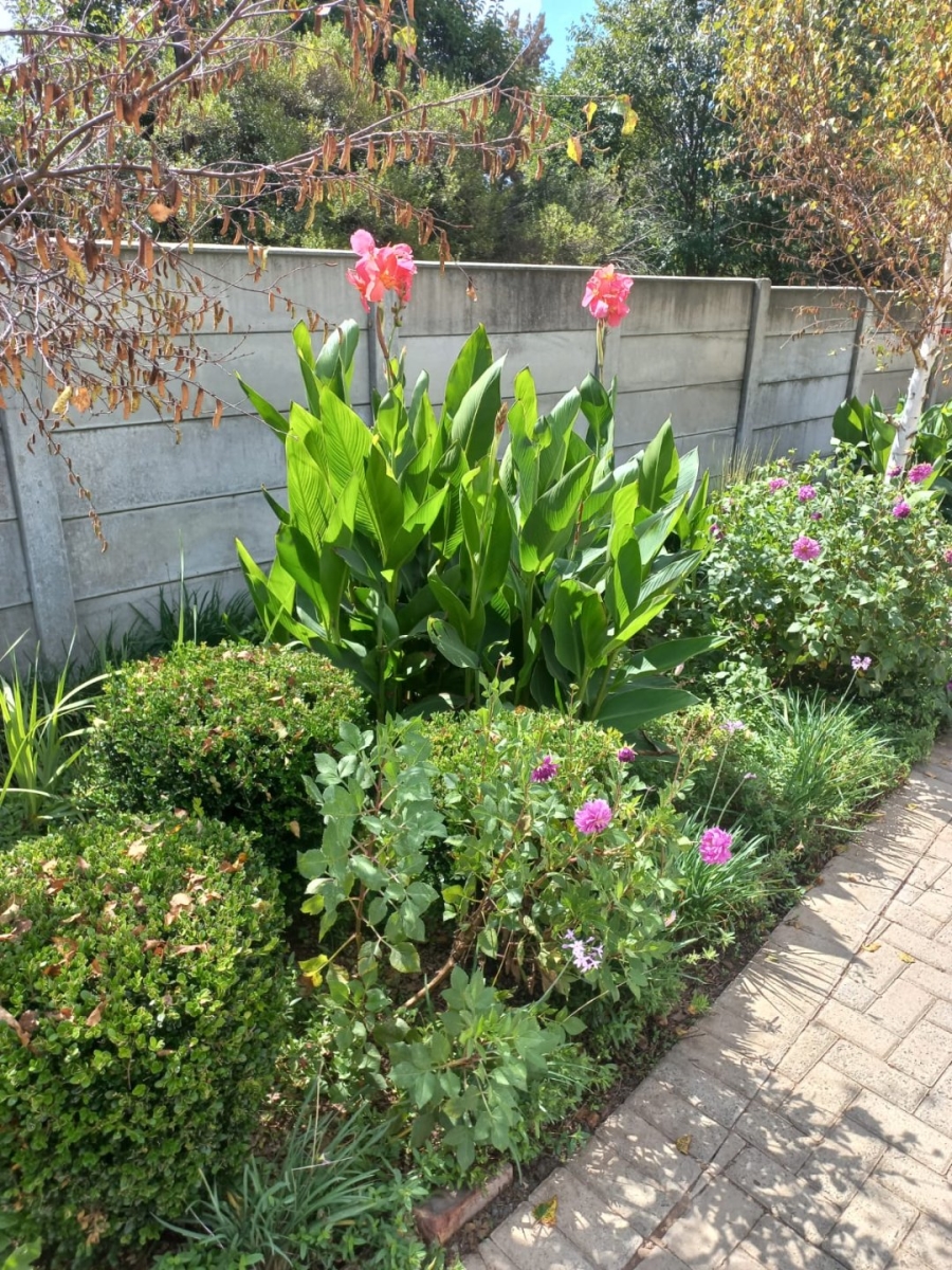 3 Bedroom Property for Sale in Senekal Free State